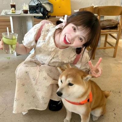 辛德瑞拉的诡计